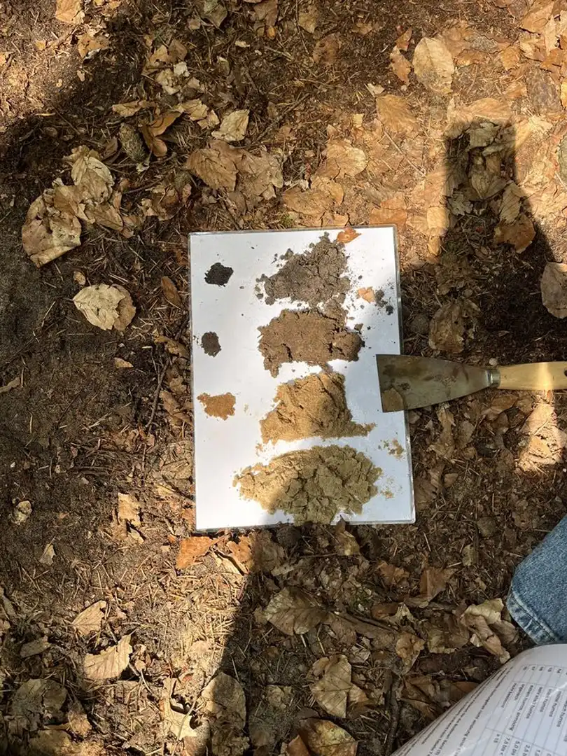 Geological field mapping and mining terrain